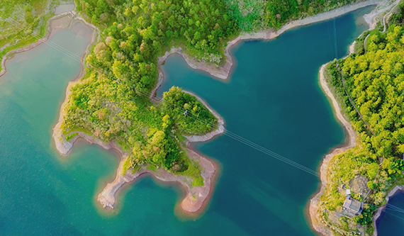 哪些企业需要做FSC认证?